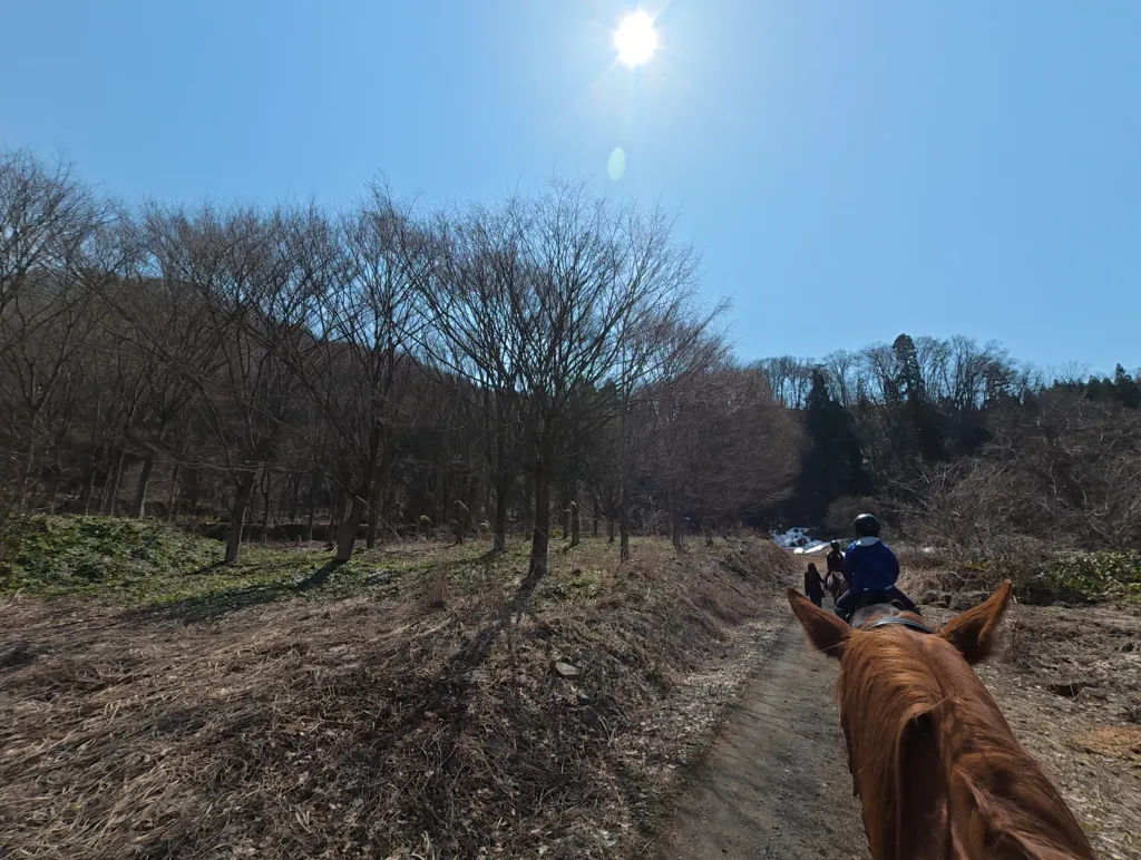 Trail Riding Course